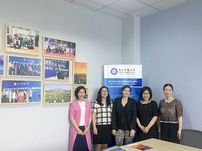 电子科技大学成电新闻网在技术咨询与交流中的创新实践